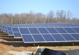 DSC_0223 Solar Panels